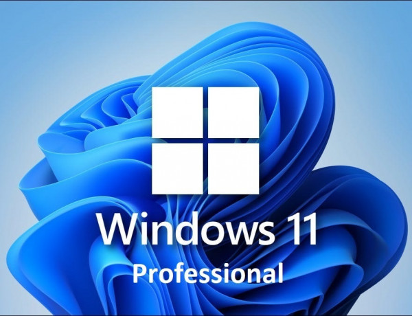 Windows 11 Professional