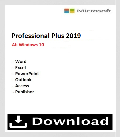 Professional Plus 2019 für 2 PC online aktivierbar